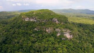 Secrets in the Jungle Secrets in the Jungle