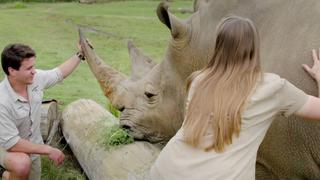 Crikey! It's the Irwins