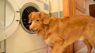 Workaholics Workaholics