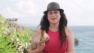 Pulling the Trigger and Ending a Three-Year Search on Roatan Pulling the Trigger and Ending a Three-Year Search on Roatan
