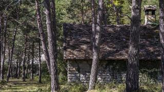 Cabin in the Woods
