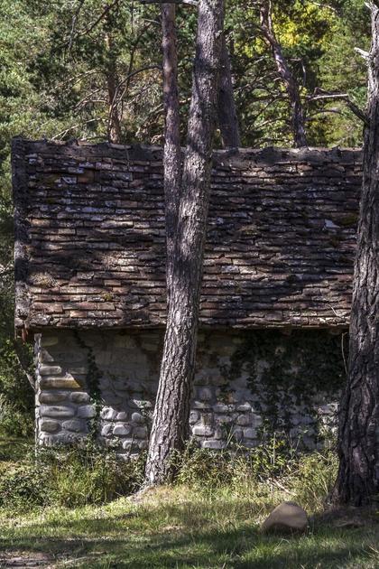 Cabin in the Woods