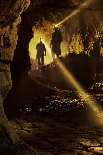 Digging for the Truth