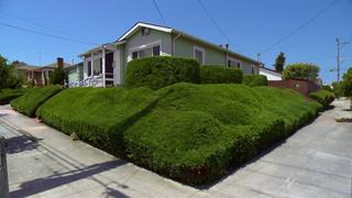 Brown Shingle Fixer-Upper