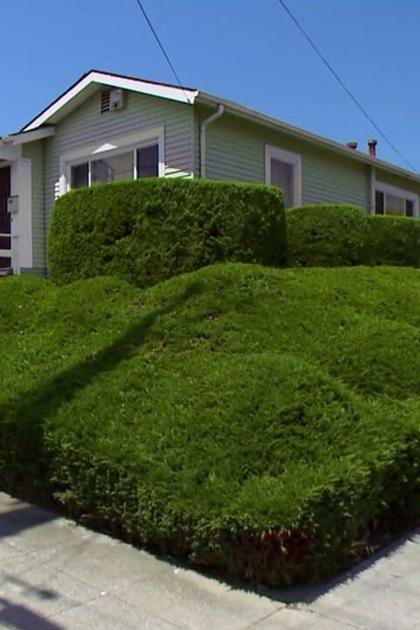 Curb Appeal