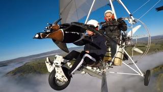 Sweet and Sassy Sweet and Sassy