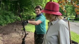 Perennial Garden Perennial Garden