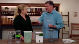 Taste of Summer Taste of Summer