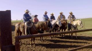 Specialty Sales and Recipe Fails Specialty Sales and Recipe Fails