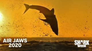 Air Jaws 2020