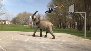 Good Sport Good Sport