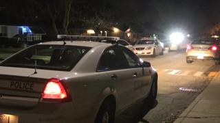 Fights & Wild Riots 4 Fights & Wild Riots 4