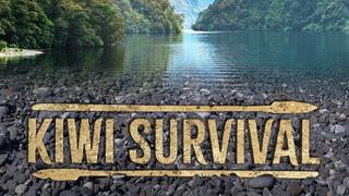 Kiwi Survival