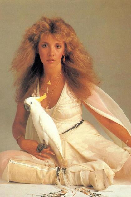 Stevie Nicks: Wild at Heart