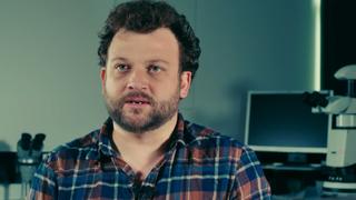 AMBER: A 100-Million-Year-Old Treasure Unearthed AMBER: A 100-Million-Year-Old Treasure Unearthed