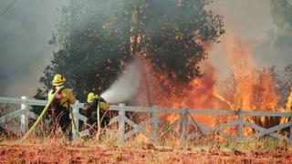 Forestry and Fire Protection Forestry and Fire Protection