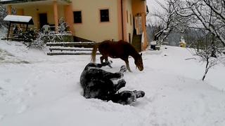 Guilty Pleasures Guilty Pleasures