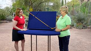 Antiques Roadshow