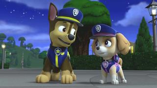 Ultimate Rescue: Pups Save the Pupmobiles Ultimate Rescue: Pups Save the Pupmobiles