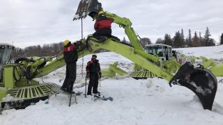 Monster of the Arctic