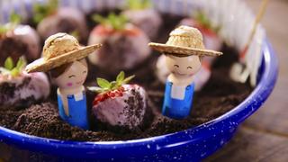 Girl Meets Farm