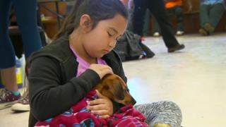 Dr. Jeff: Rocky Mountain Vet