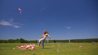 Stunt Spectacular, Vol. 2 Stunt Spectacular, Vol. 2