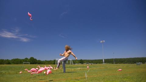 Stunt Spectacular, Vol. 2