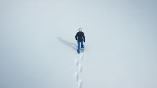Snowfall -- Narrated by Cillian Murphy