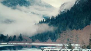 Living Among Trees -- Narrated by Keanu Reeves