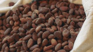 The Gift of Chocolate -- Narrated by Priyanka Chopra Jonas