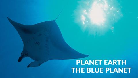 Planet Earth: The Blue Planet