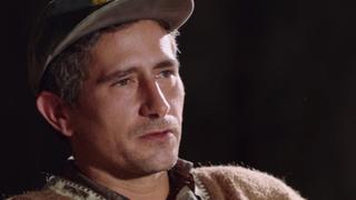 Yankees Suck Yankees Suck