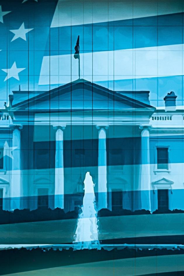 Chaos: Election 2020