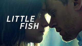 Little Fish