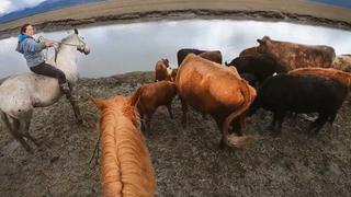 Alaska: The Last Frontier