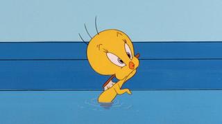 The Sylvester & Tweety Mysteries