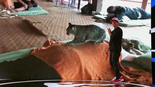 Chanel and Sterling CCXL