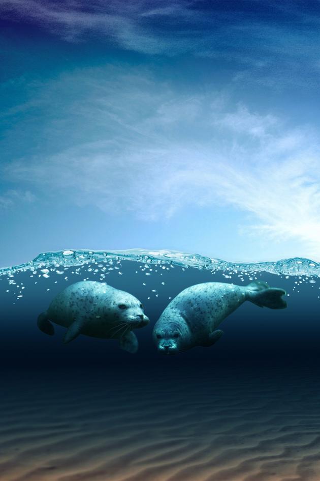 Coasts: Rolling With the Waves