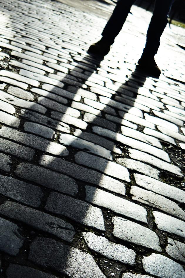 Murder Under the Christmas Trees