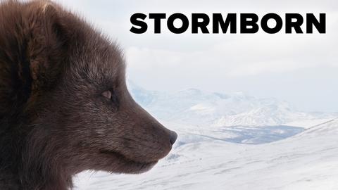 Stormborn