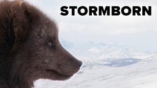Stormborn