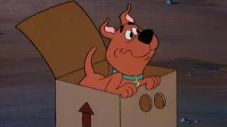 Scooby-Doo 2000; Punk Rock Scooby; Hothouse Scooby Scooby-Doo 2000; Punk Rock Scooby; Hothouse Scooby