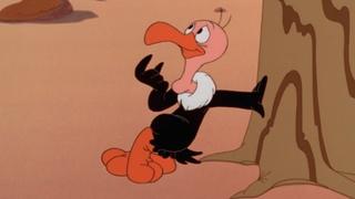 3 Days & 2 Nights of the Condor