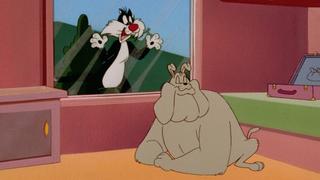 The Sylvester & Tweety Mysteries