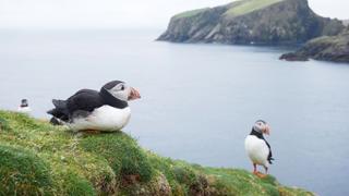 The Return of the Light The Return of the Light