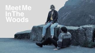 watch Meet Me in the Woods