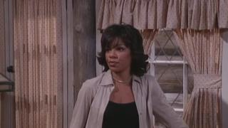The Steve Harvey Show