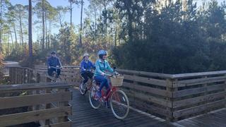 A New Start in Gulf Shores