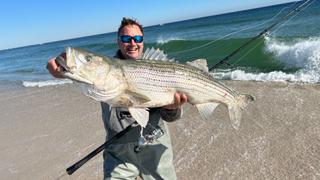 The Search for Animal Fin